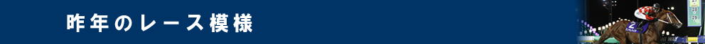 昨年のレース模様
