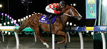 エンテレケイア