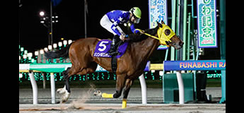 メンコイボクチャン