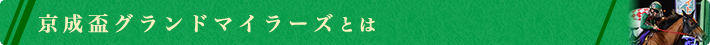 京成盃グランドマイラーズとは？