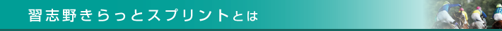 習志野きらっとスプリントとは？