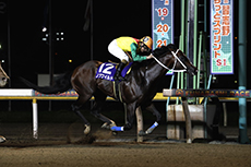 第10回 習志野きらっとスプリント(SI)の模様