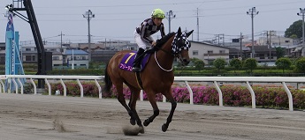 フリーダム