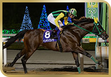 第22回 京成盃グランドマイラーズ(SII)の模様