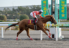 第59回　クイーン賞（Jpn III）の模様
