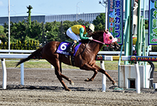 第1回 若潮スプリント(S III)の模様