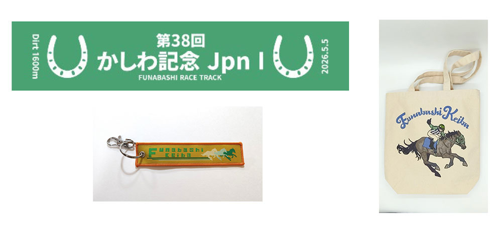 FAV(ファブ)ダートケイバ