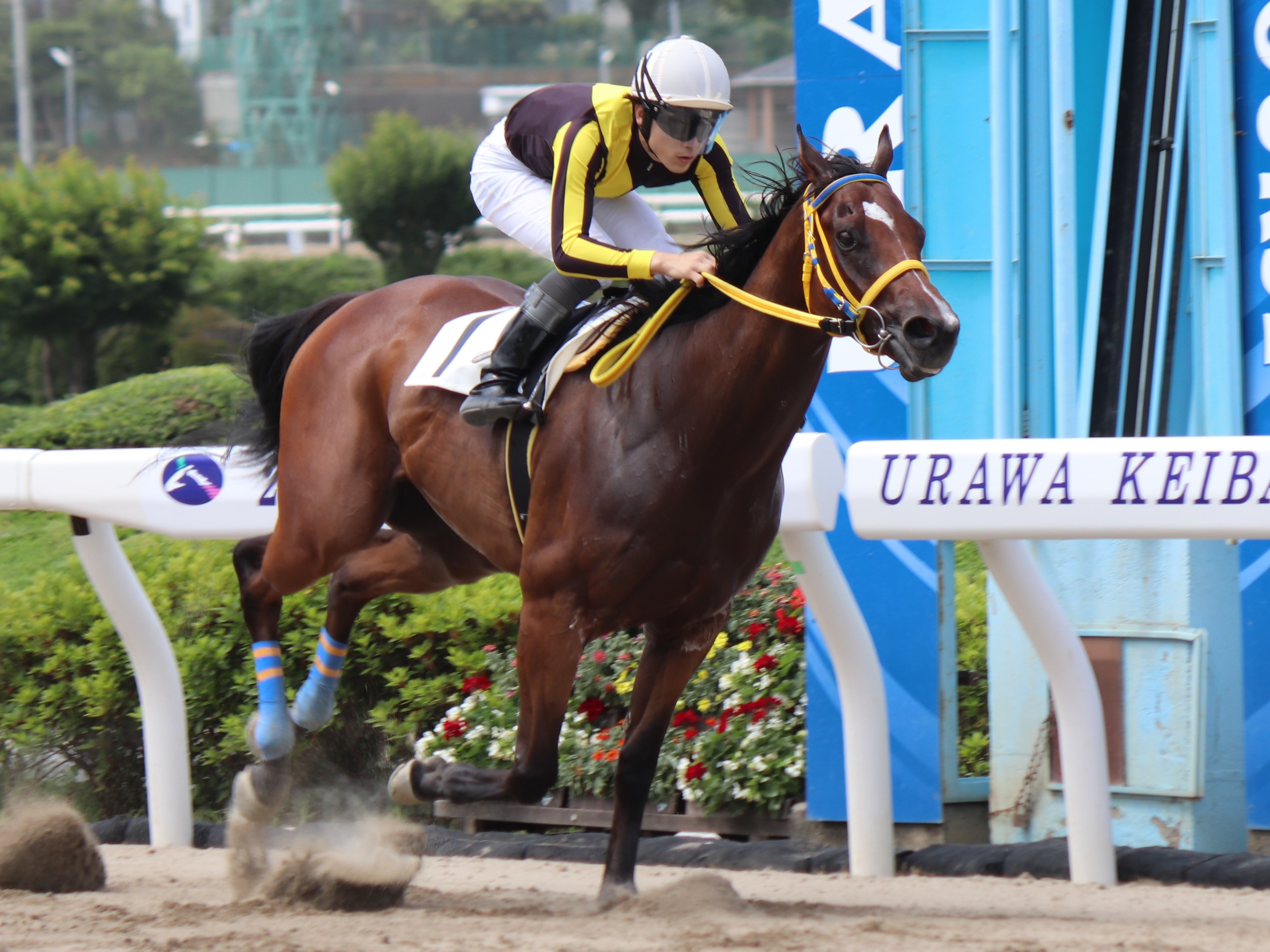 NAR 船橋競馬 石崎駿騎手 実使用 勝負服 中古 サイン入り レア 貴重