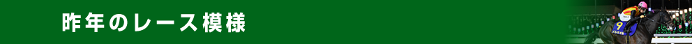 昨年のレース模様