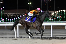 ブルーバードカップ（JpnIII）の模様