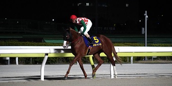 ポッドフェスタ