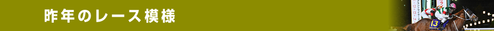 昨年のレース模様