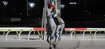 グランデマーレ