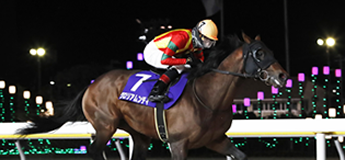 グロリアムンディ