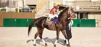 ナイトオブファイア