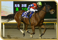 第63回 船橋記念(SIII)の模様
