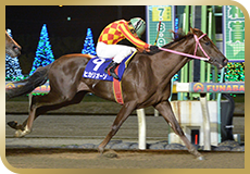第64回 平和賞(SIII)の模様