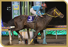 第55回 報知グランプリカップ(SIII)の模様