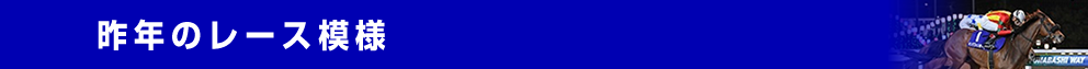 昨年のレース模様