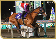 第58回　報知グランプリカップ（SIII）の模様