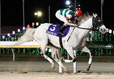 第60回　報知グランプリカップ（SIII）の模様