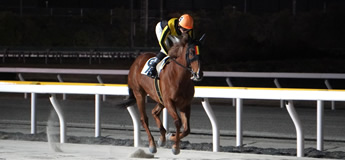 ハイエストエンド