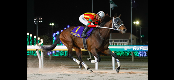 グロリアムンディ