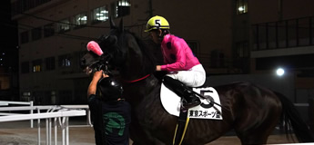 キャッスルブレイヴ