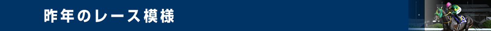 昨年のレース模様