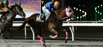 ホウオウトゥルース