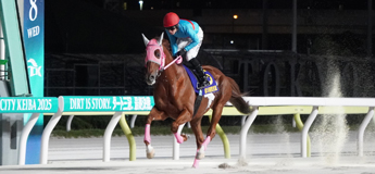 ウインリブルマン