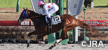 ミッキーファイト