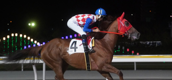 ヘニータイフーン