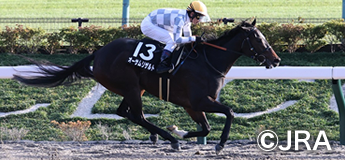 オーサムリザルト