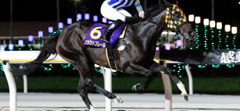 プラウドフレール