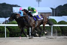 第24回 JBCスプリント(JpnI)の模様