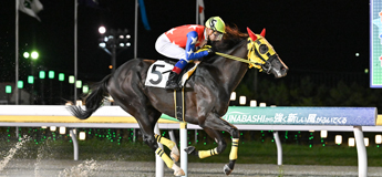 ザイデルバスト