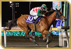 第25回　京成盃グランドマイラーズ（SII）の模様