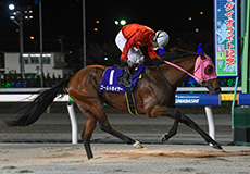 第26回　京成盃グランドマイラーズ（SII）の模様