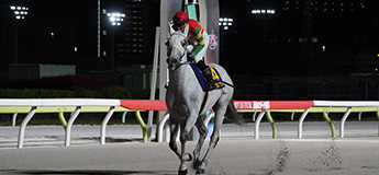 グランデマーレ