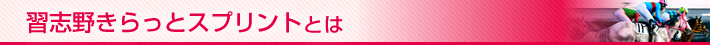習志野きらっとスプリントとは