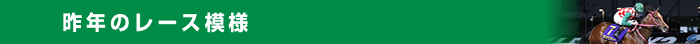 昨年のレース模様
