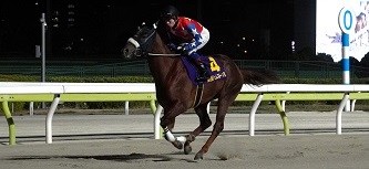 ベイビークエスト