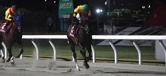 デーレーシトロン