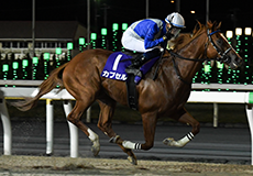 第69回 平和賞(SIII)の模様