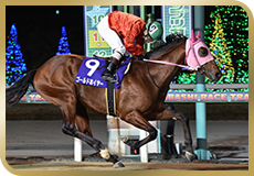 第57回　報知グランプリカップ（SIII）の模様