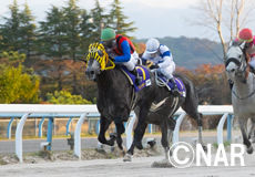 第21回 JBCクラシック(JpnI)の模様