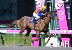 第22回 JBCクラシック(JpnI)の模様