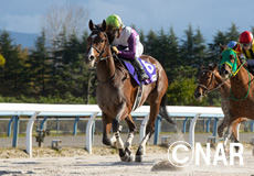 第11回 JBCレディスクラシック(JpnI)の模様