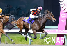 第12回 JBCレディスクラシック(JpnI)の模様